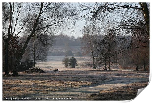 Morning frost Print by suzy ainley