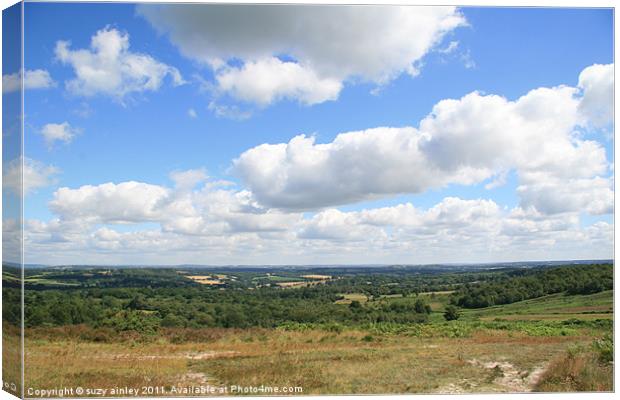 Ashdown Forest Canvas Print by suzy ainley