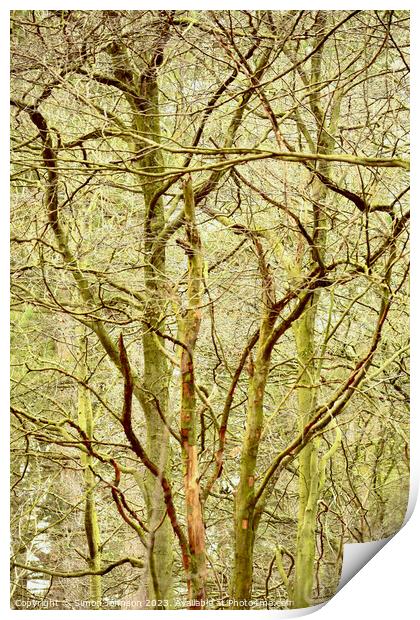 woodland architecture  Print by Simon Johnson