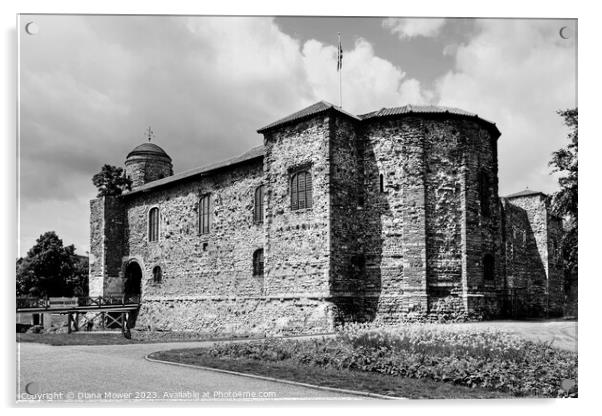 Colchester Castle in Black and White Acrylic by Diana Mower
