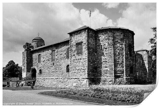 Colchester Castle in Black and White Print by Diana Mower