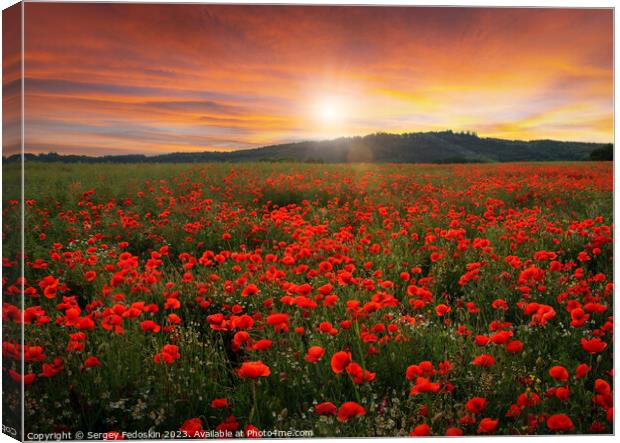 Poppy field in full bloom. Field of red poppies against the sunset sky. Canvas Print by Sergey Fedoskin