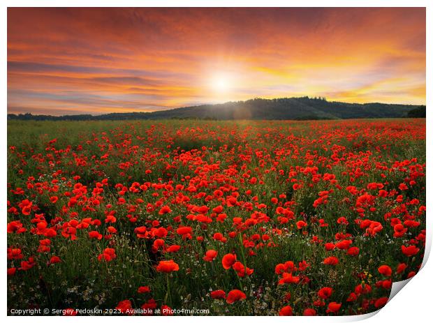 Poppy field in full bloom. Field of red poppies against the sunset sky. Print by Sergey Fedoskin