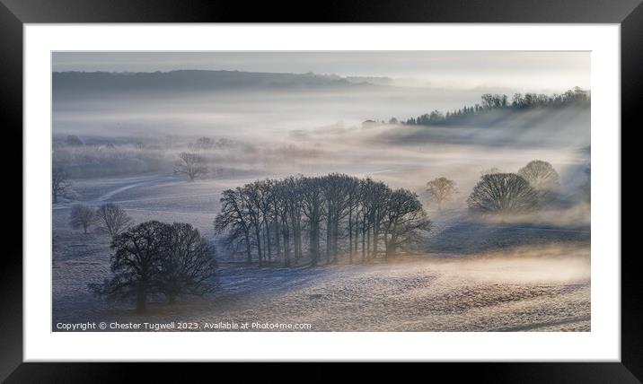 Winter Morning Mist - Petworth Deer Park Framed Mounted Print by Chester Tugwell