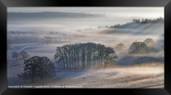 Winter Morning Mist - Petworth Deer Park Framed Print by Chester Tugwell