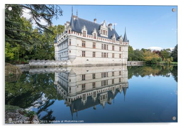 Reflections in the pond at Château d'Azay-le-Rideau Acrylic by Dave Collins
