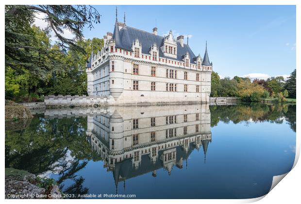 Reflections in the pond at Château d'Azay-le-Rideau Print by Dave Collins