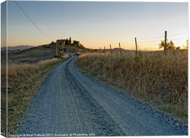 Road to Castagno Canvas Print by Neal P