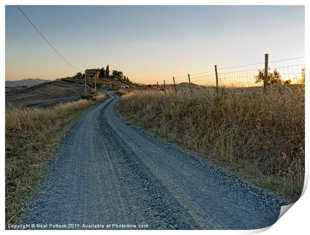 Road to Castagno Print by Neal P