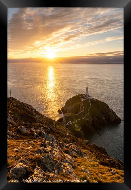 sunset at south stack lighthouse isle of Anglesey Framed Print by Gail Johnson