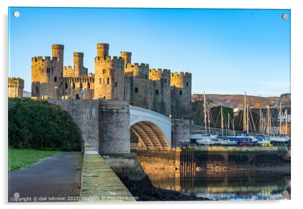 Conwy castle and town at sunrise North Wales  Acrylic by Gail Johnson