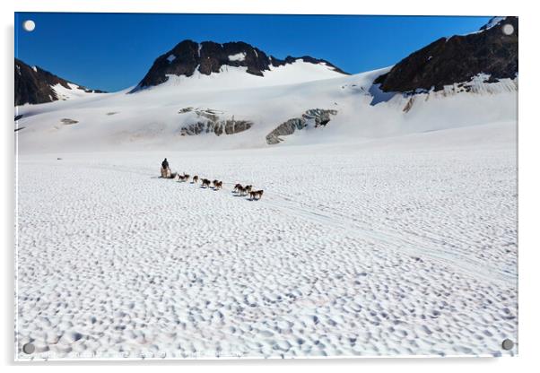 Aerial view of Alaska dogsledding team Chugach Mountains Acrylic by Spotmatik 