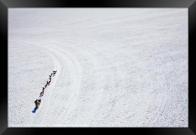 Aerial view sledging dog handler Chugach mountains America Framed Print by Spotmatik 