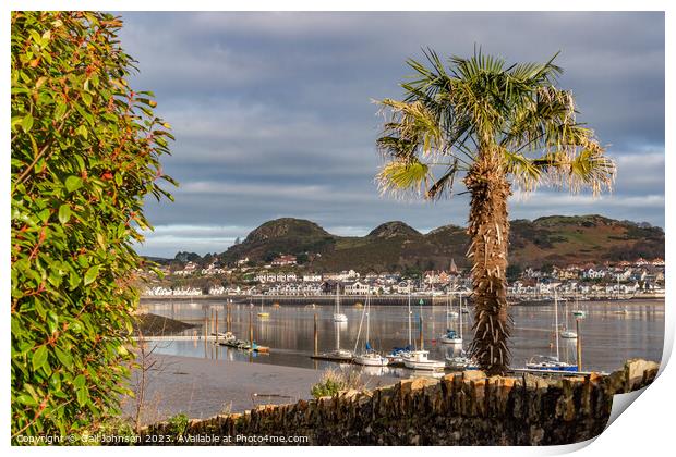 Conwy castle and town at sunrise North Wales  Print by Gail Johnson