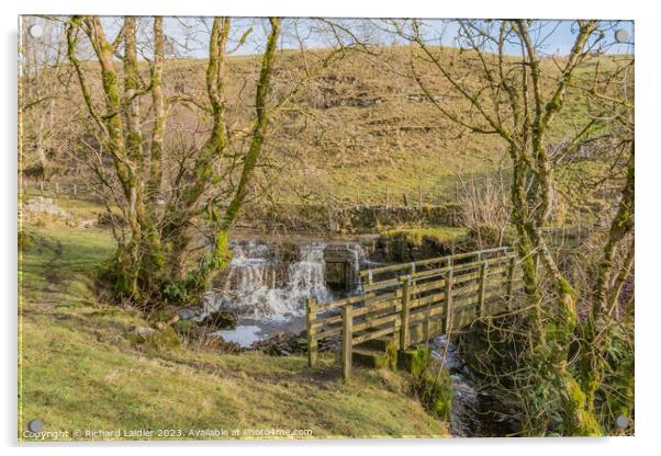 Footbridge and Waterfall on Ettersgill Beck, Teesdale Acrylic by Richard Laidler