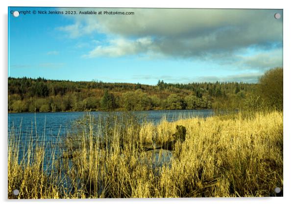 Llwyn Onn Reservoir Brecon Beacons in Winter  Acrylic by Nick Jenkins