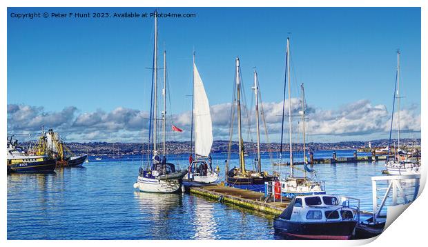 Winter On The Pontoon Print by Peter F Hunt