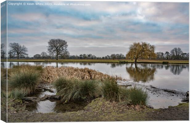 January cloudy morning at Bushy Park Canvas Print by Kevin White