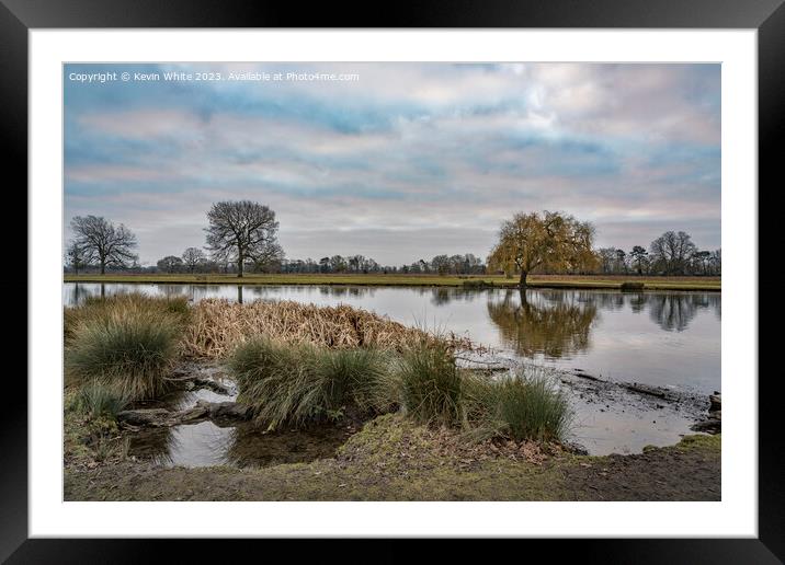 January cloudy morning at Bushy Park Framed Mounted Print by Kevin White