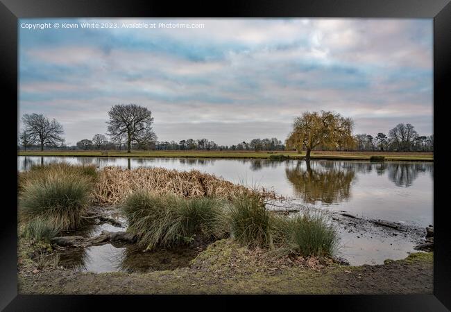 January cloudy morning at Bushy Park Framed Print by Kevin White