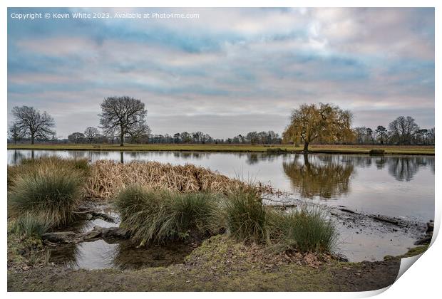January cloudy morning at Bushy Park Print by Kevin White