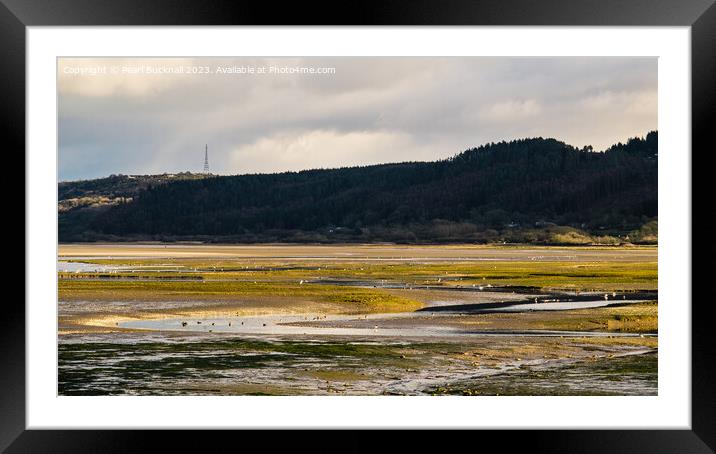 Feeding in Tide Pools Red Wharf Bay Anglesey Pano Framed Mounted Print by Pearl Bucknall