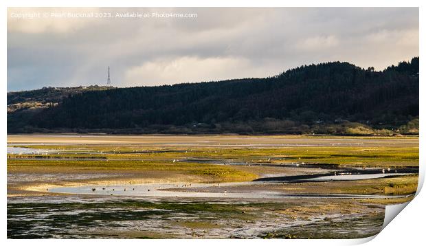 Feeding in Tide Pools Red Wharf Bay Anglesey Pano Print by Pearl Bucknall
