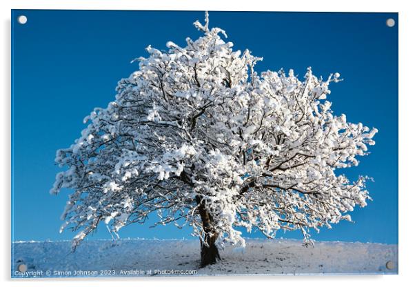 snow tree Acrylic by Simon Johnson