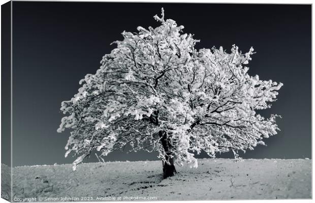 Tree with Snow monochrome  Canvas Print by Simon Johnson