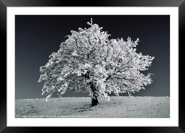 Tree with Snow monochrome  Framed Mounted Print by Simon Johnson