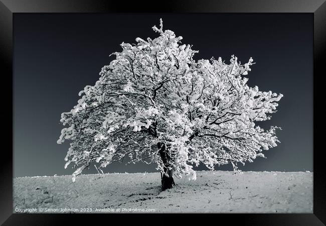 Tree with Snow monochrome  Framed Print by Simon Johnson