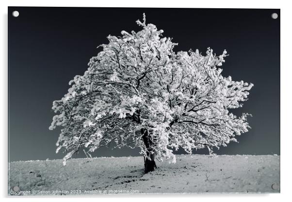 Tree with Snow monochrome  Acrylic by Simon Johnson