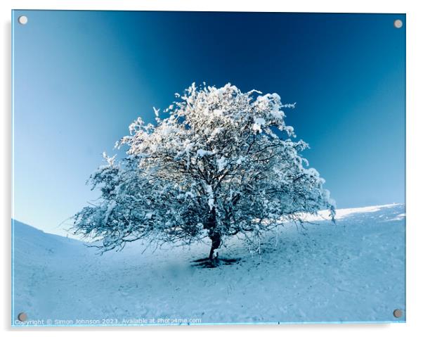 Tree with Snow  Acrylic by Simon Johnson