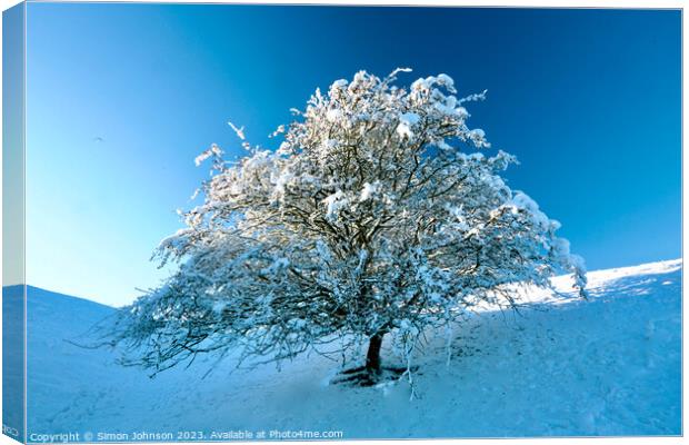Tree with Snow  Canvas Print by Simon Johnson