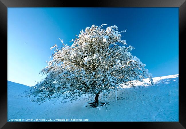 Tree with Snow  Framed Print by Simon Johnson