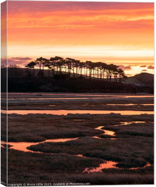 Red Budleigh Creeks  Canvas Print by Bruce Little