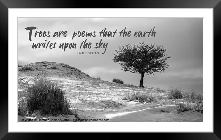 Lone Tree with Quote Framed Mounted Print by Heather Sheldrick
