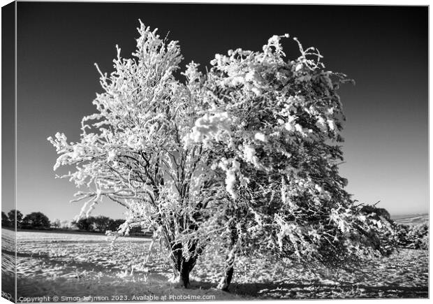 Snow clad tree  Canvas Print by Simon Johnson