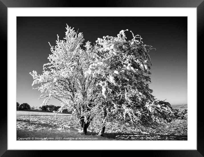 Snow clad tree  Framed Mounted Print by Simon Johnson