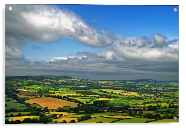 Dorset Countryside Acrylic by Darren Galpin