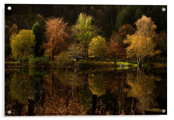 Reflections on Loch Ard Acrylic by Neil McKellar