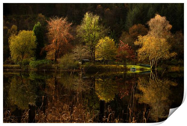 Reflections on Loch Ard Print by Neil McKellar