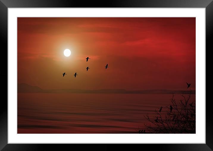 UNDER A BLOOD RED SKY Framed Mounted Print by Tom York