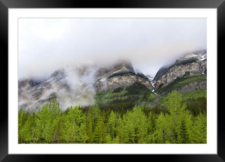 Rocky Mountains Framed Mounted Print by barbara walsh