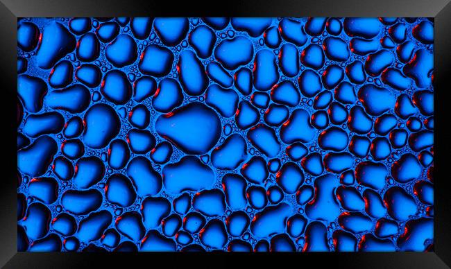 Water Droplets  Framed Print by Tim Gamble