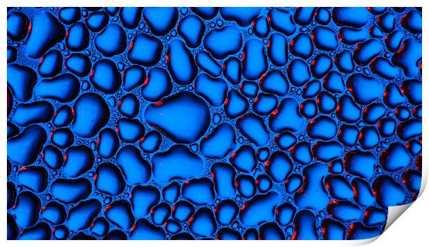Water Droplets  Print by Tim Gamble