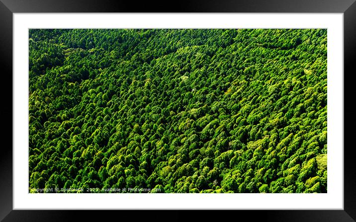 Aerial Indonesian tropical Rainforest Bali travel tourism Asia Framed Mounted Print by Spotmatik 