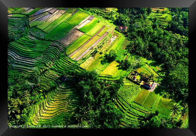 Aerial Bali Indonesia Ubud plantation rice terraces Asia Framed Print by Spotmatik 