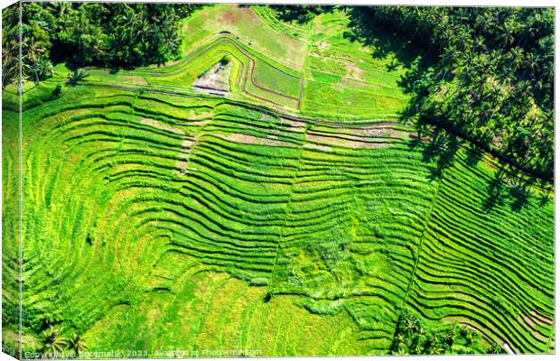 Aerial view Ubud plantation farming rice terraces Bali  Canvas Print by Spotmatik 