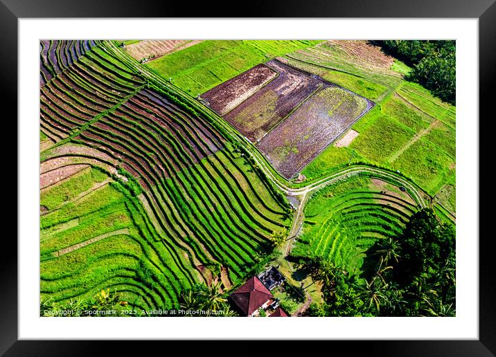 Aerial Bali plantation farming on rice terraces Indonesia Framed Mounted Print by Spotmatik 